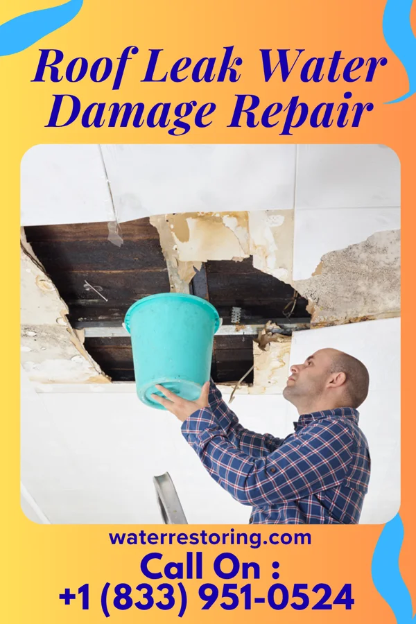 Roof Leak Water Damage Repair in Santa Rosa, NM